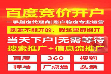 SEM主管实战案例：广告投放策略优化